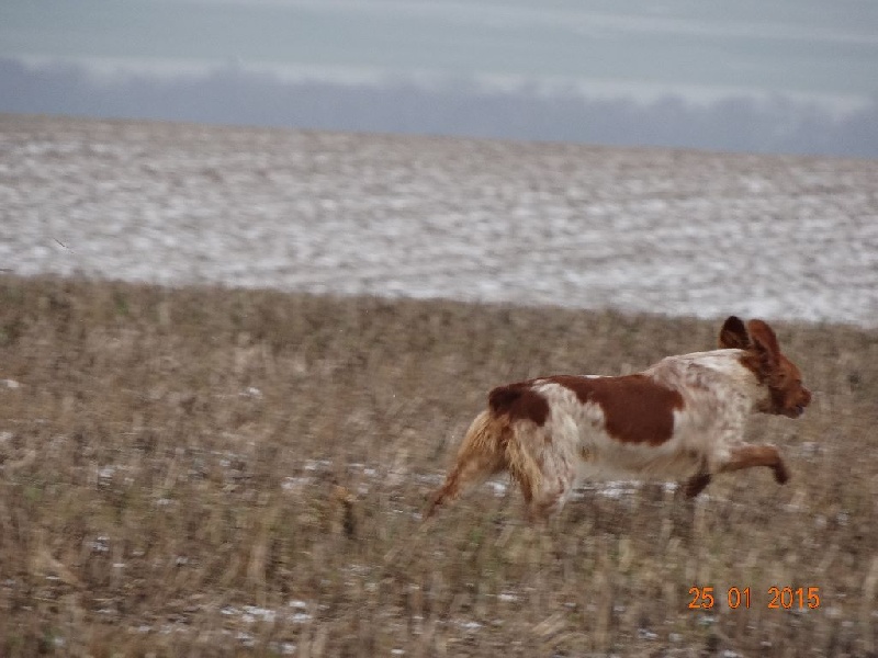 Hulma De La Vallée De La Py