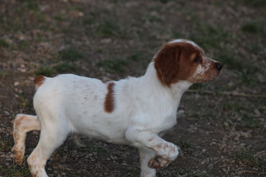 Tcho De La Vallée De La Py