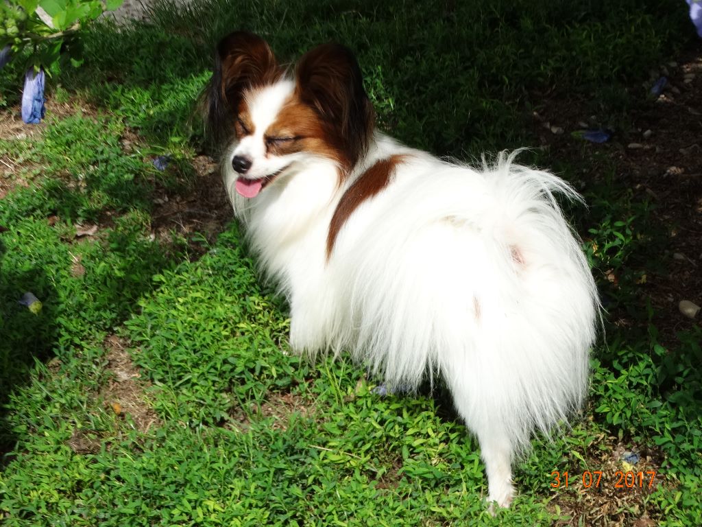 Jepp De La Vallée De La Py