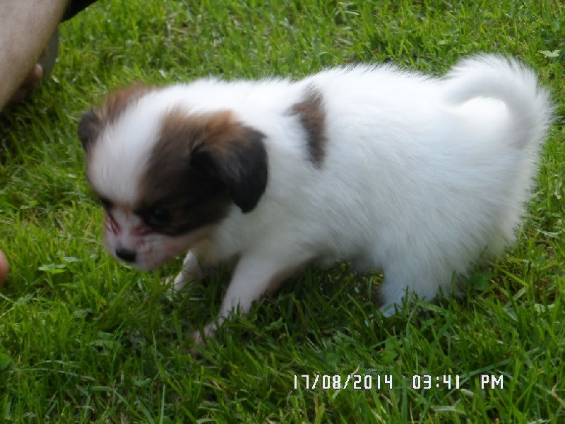 Jepp De La Vallée De La Py