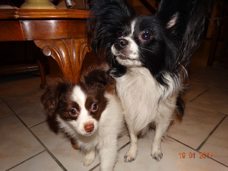 Mirabelle De La Vallée De La Py