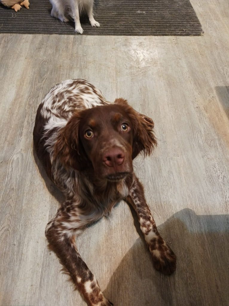 Toto De La Vallée De La Py