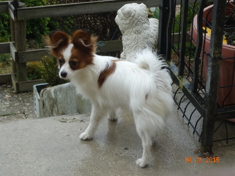 Jepp De La Vallée De La Py