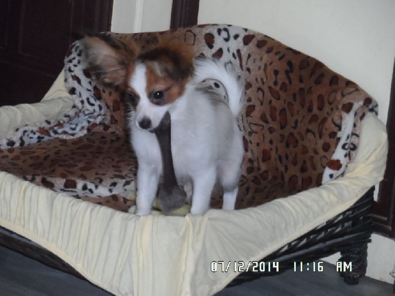 Jepp De La Vallée De La Py