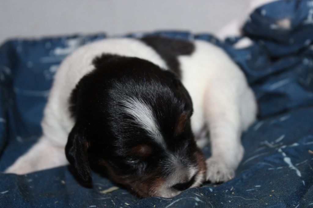 Publication : De La Vallée De La Py