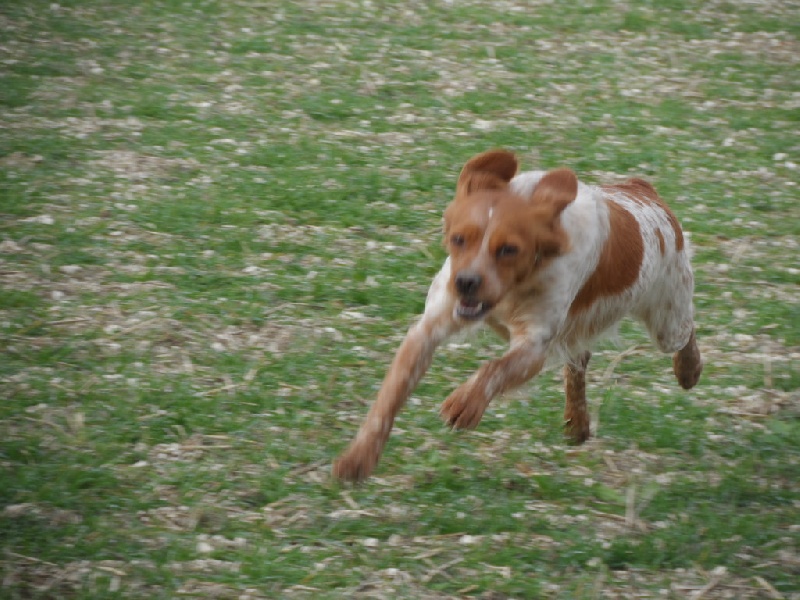 Hulma De La Vallée De La Py