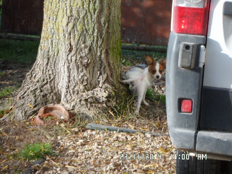 Jepp De La Vallée De La Py