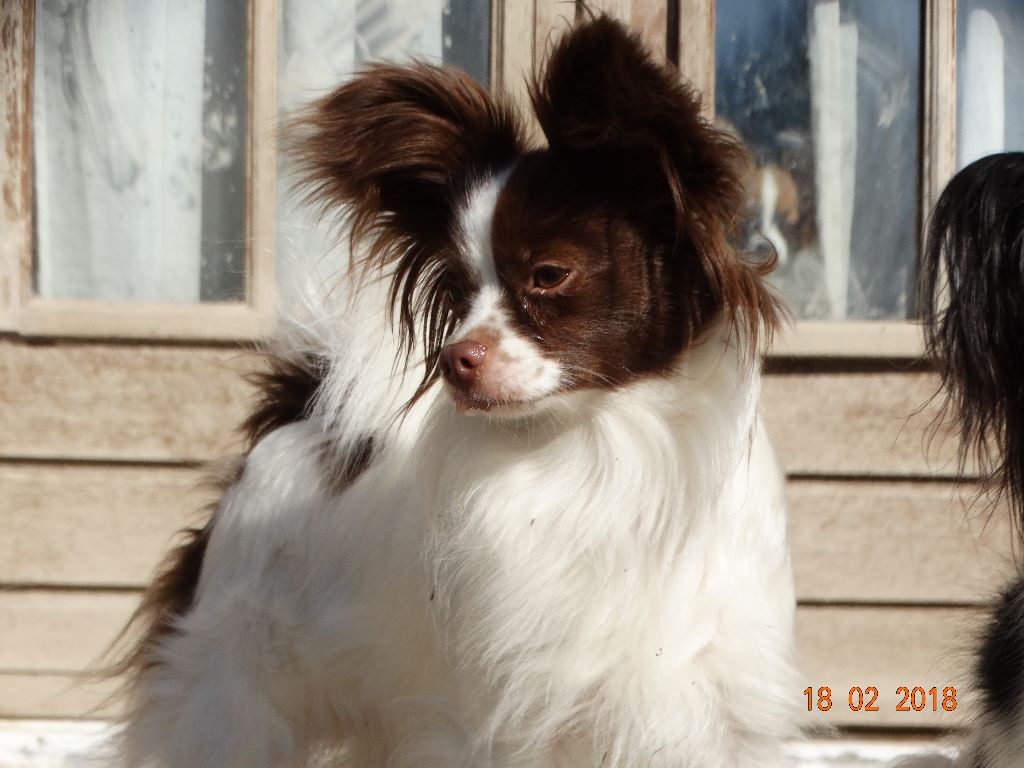 Mirabelle De La Vallée De La Py