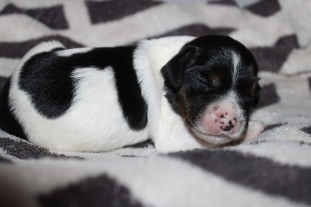 Vidoc De La Vallée De La Py