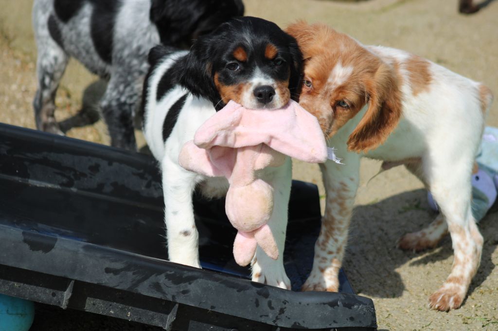Vidoc De La Vallée De La Py