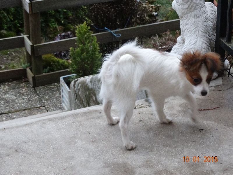 Jepp De La Vallée De La Py