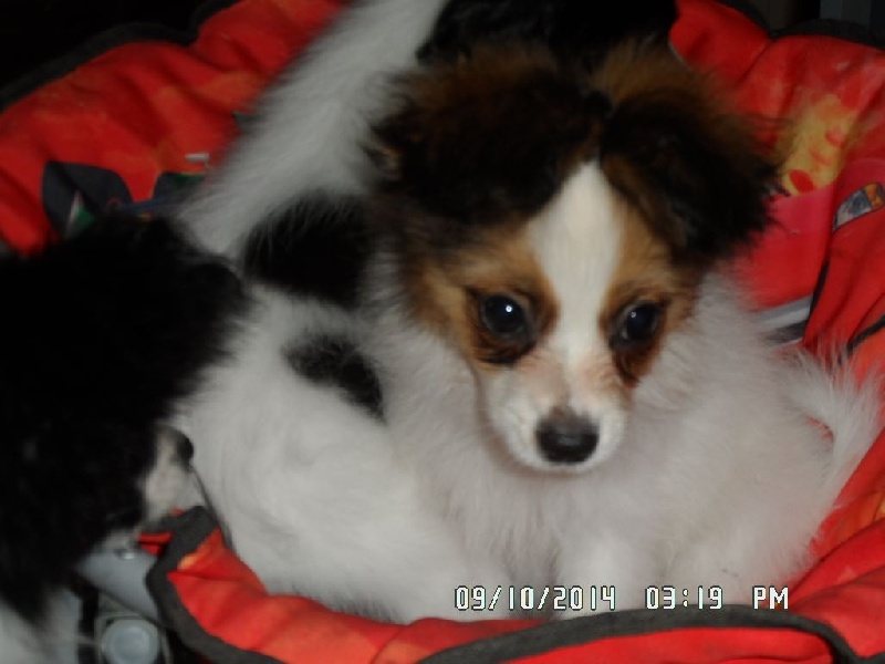 Jepp De La Vallée De La Py