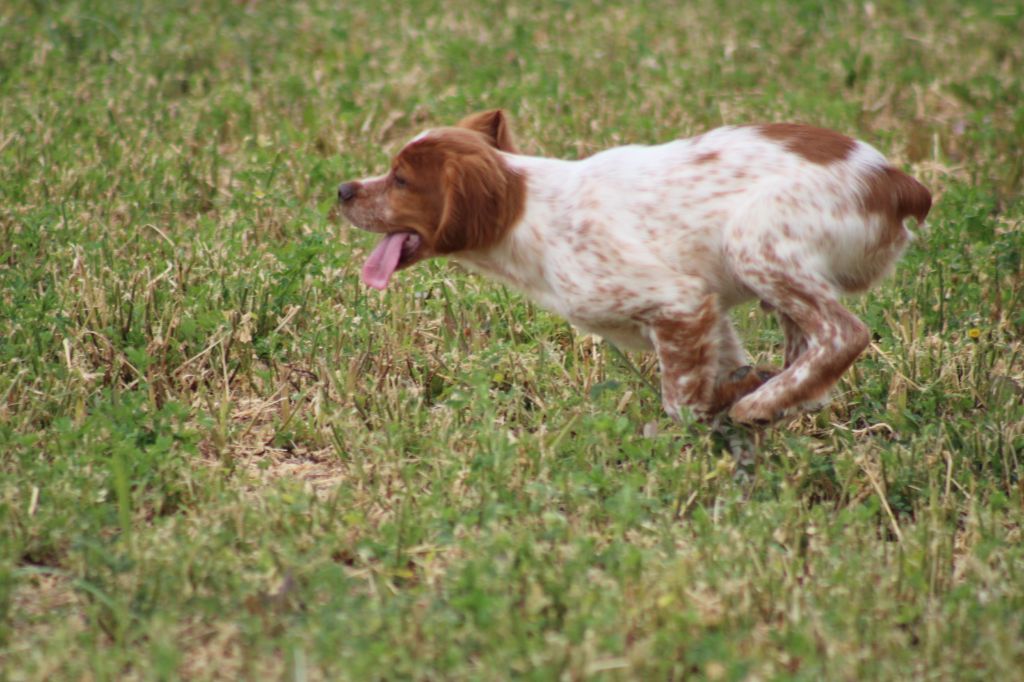 Artus De La Vallée De La Py