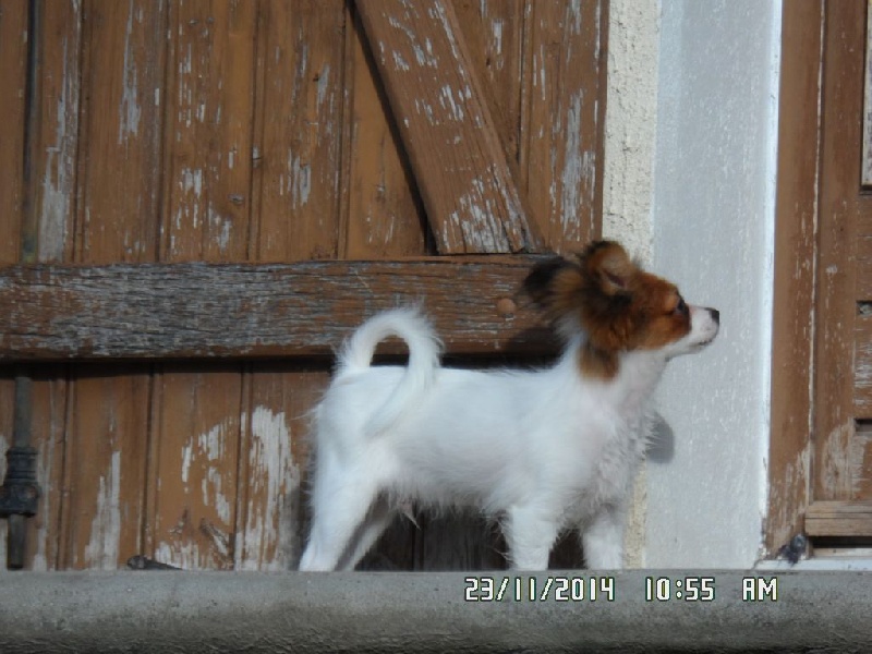 Jepp De La Vallée De La Py