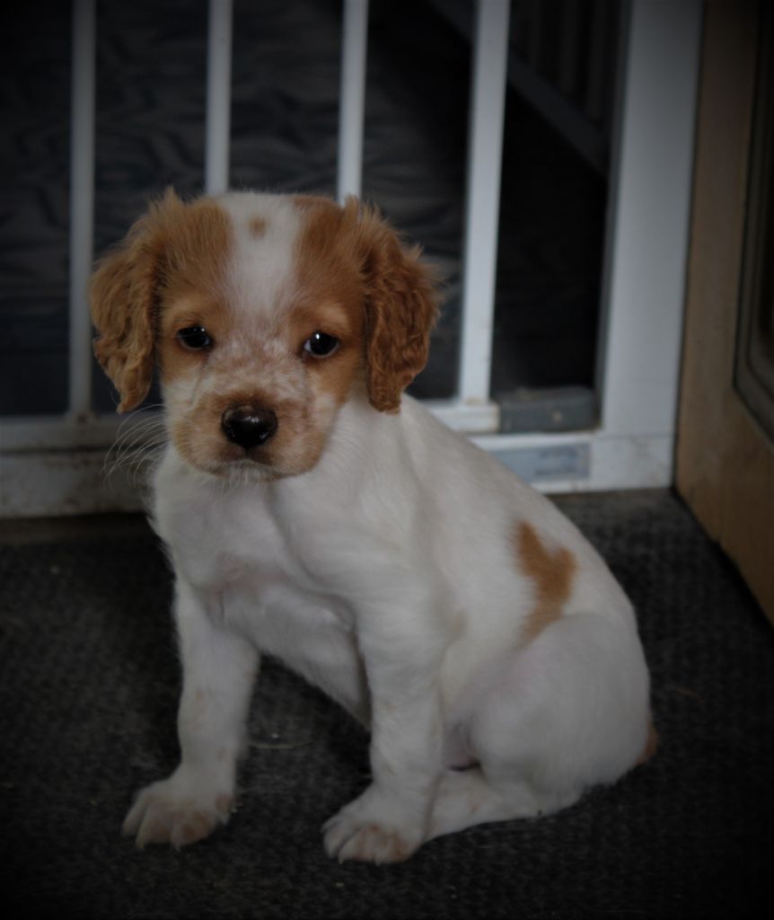 Tcho De La Vallée De La Py