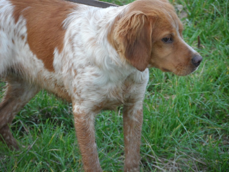 Hulma De La Vallée De La Py