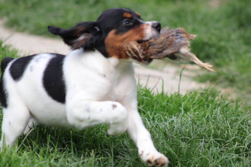 Vidoc De La Vallée De La Py