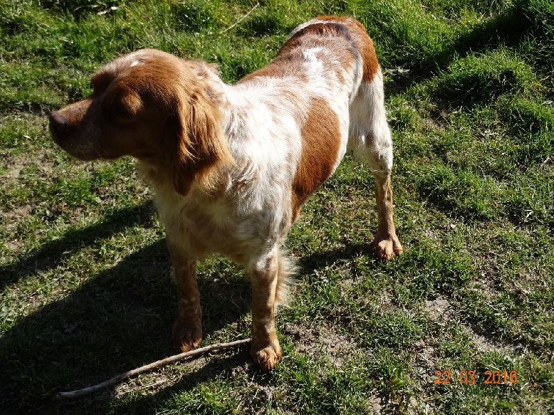 Hulma De La Vallée De La Py