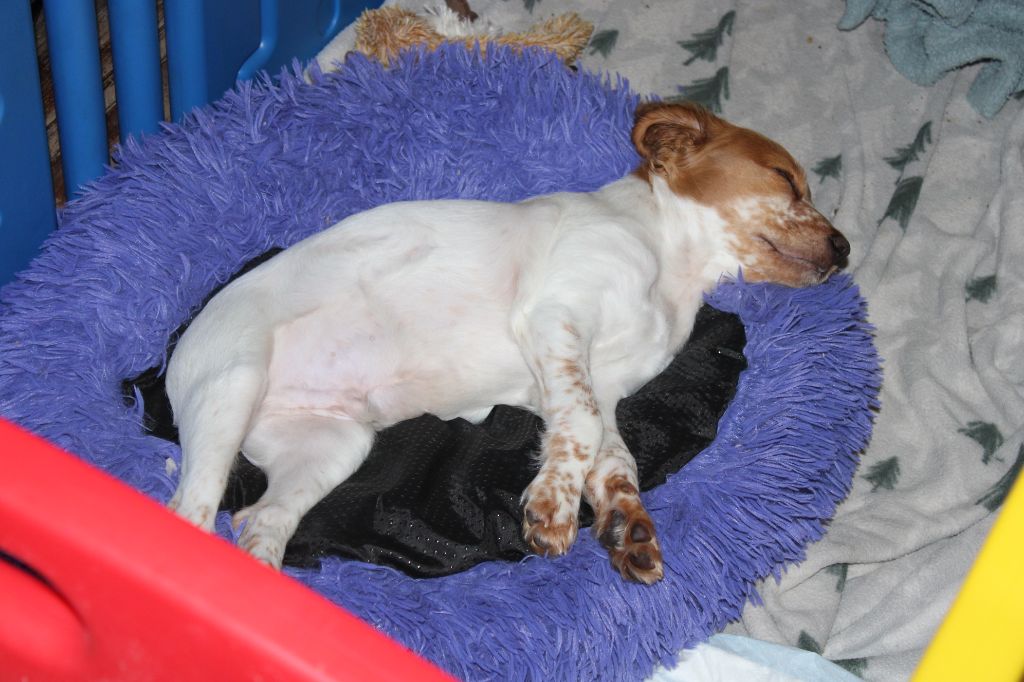 Tcho De La Vallée De La Py