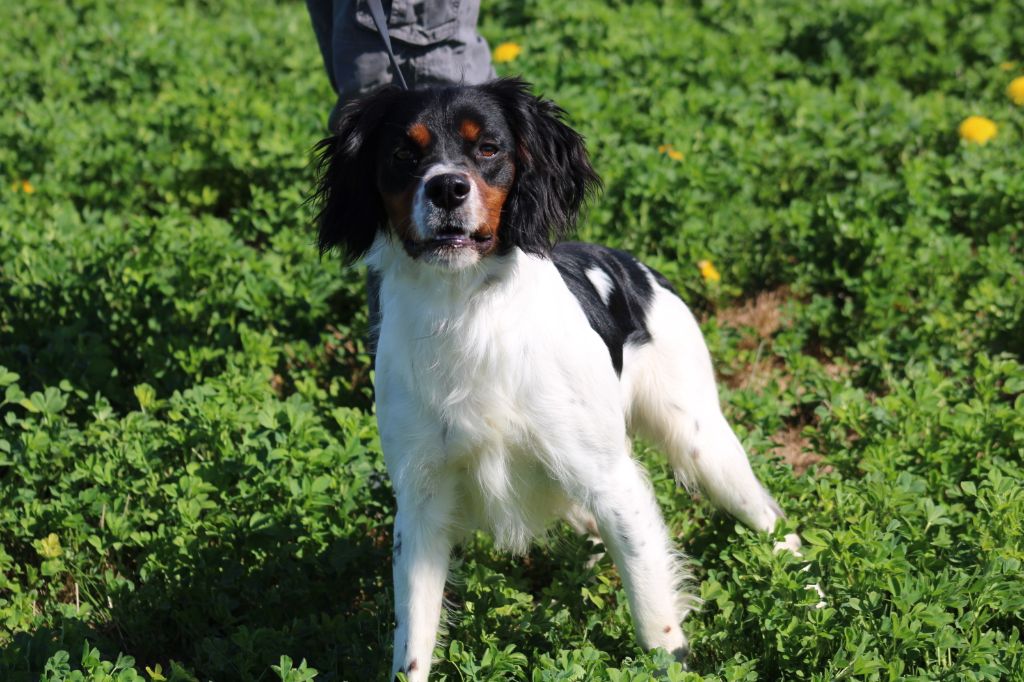 Vidoc De La Vallée De La Py