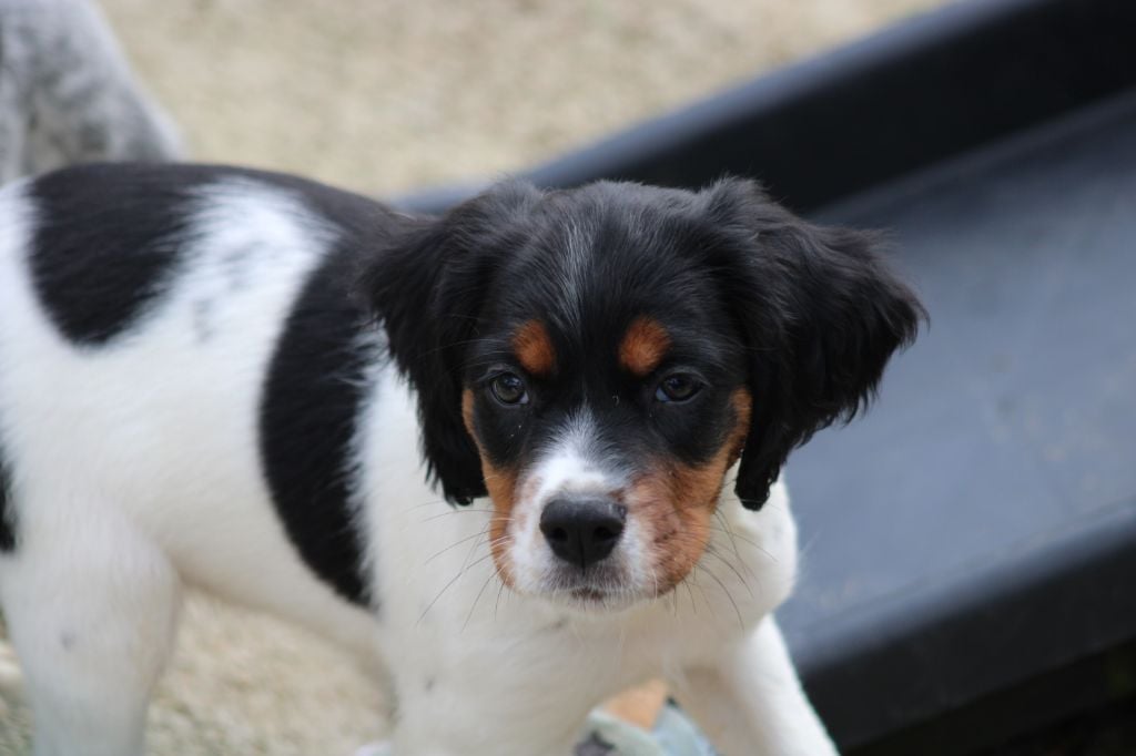 Vidoc De La Vallée De La Py