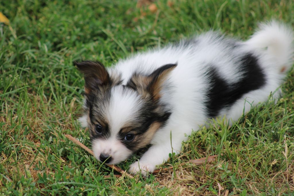 Ricky De La Vallée De La Py
