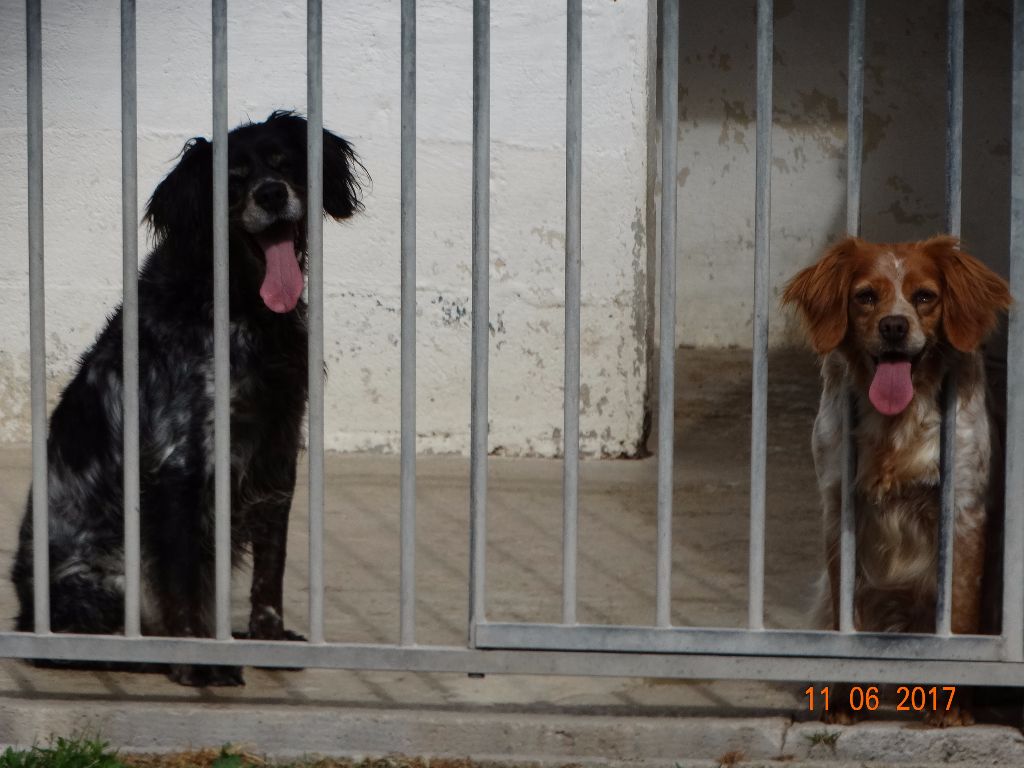 Hulma De La Vallée De La Py