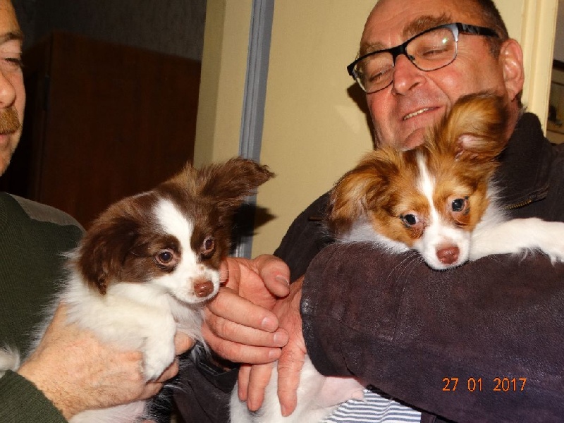 Mirabelle De La Vallée De La Py