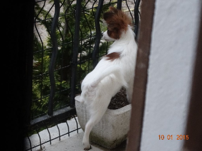 Jepp De La Vallée De La Py