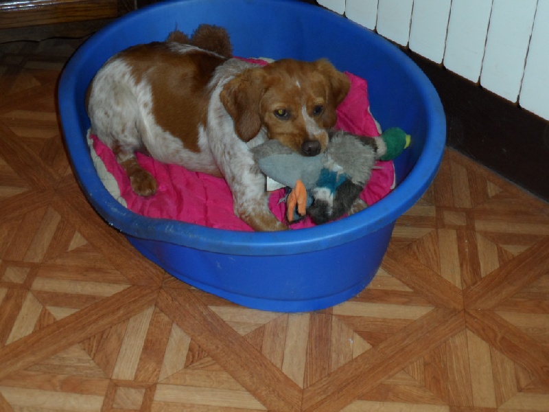 Hulma De La Vallée De La Py