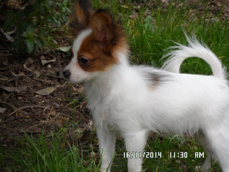 Jepp De La Vallée De La Py