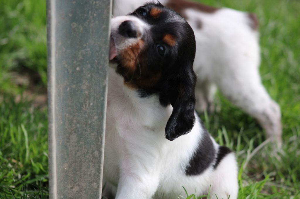 Vidoc De La Vallée De La Py
