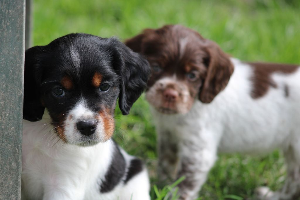 Vidoc De La Vallée De La Py