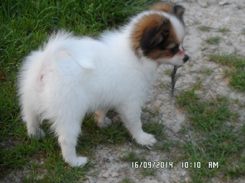 Jepp De La Vallée De La Py