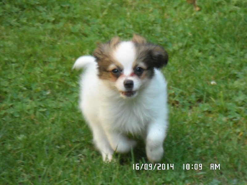 Jepp De La Vallée De La Py