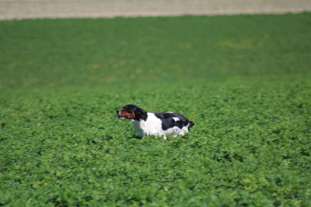 Vidoc De La Vallée De La Py