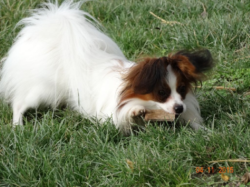 Jepp De La Vallée De La Py