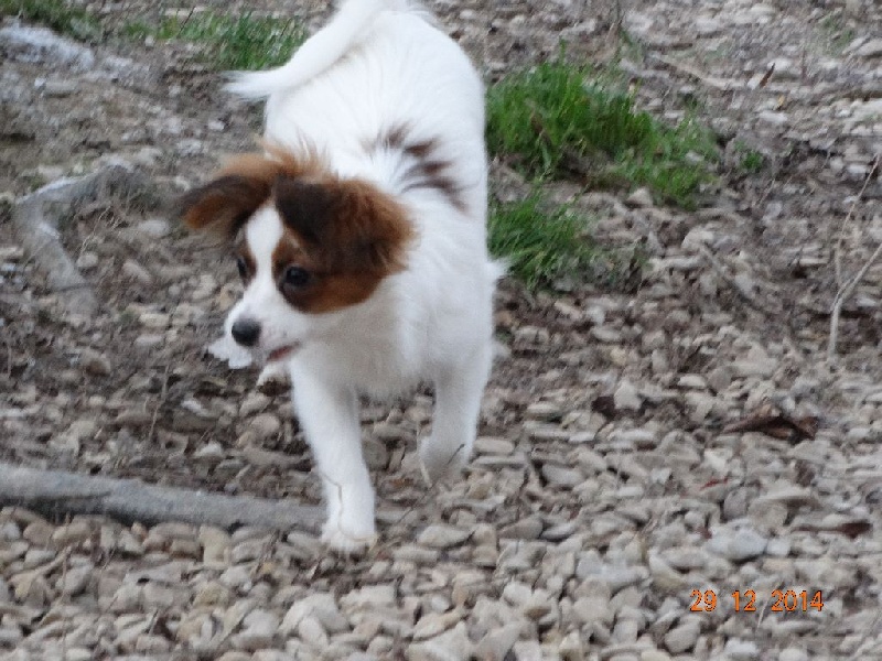 Jepp De La Vallée De La Py