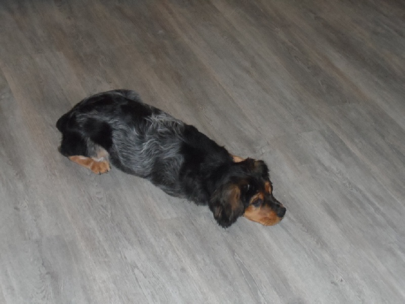 Harper De La Vallée De La Py