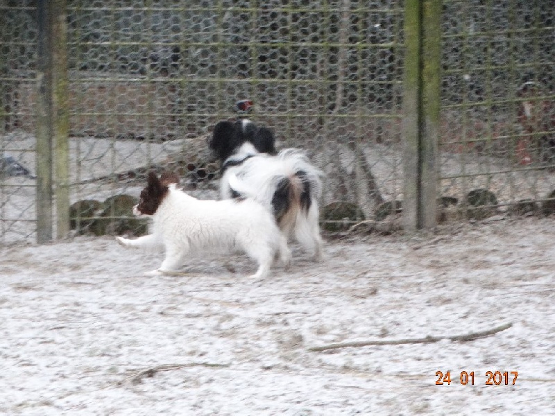 Mirabelle De La Vallée De La Py