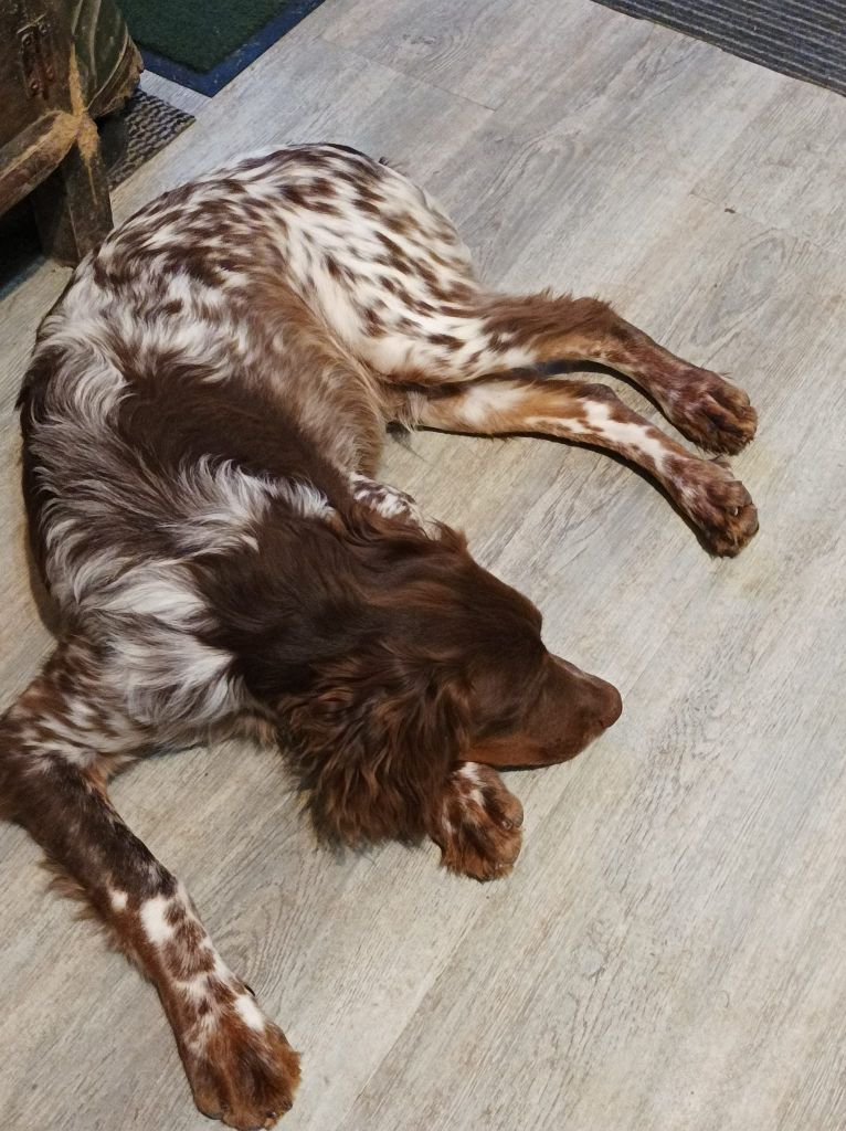 Toto De La Vallée De La Py