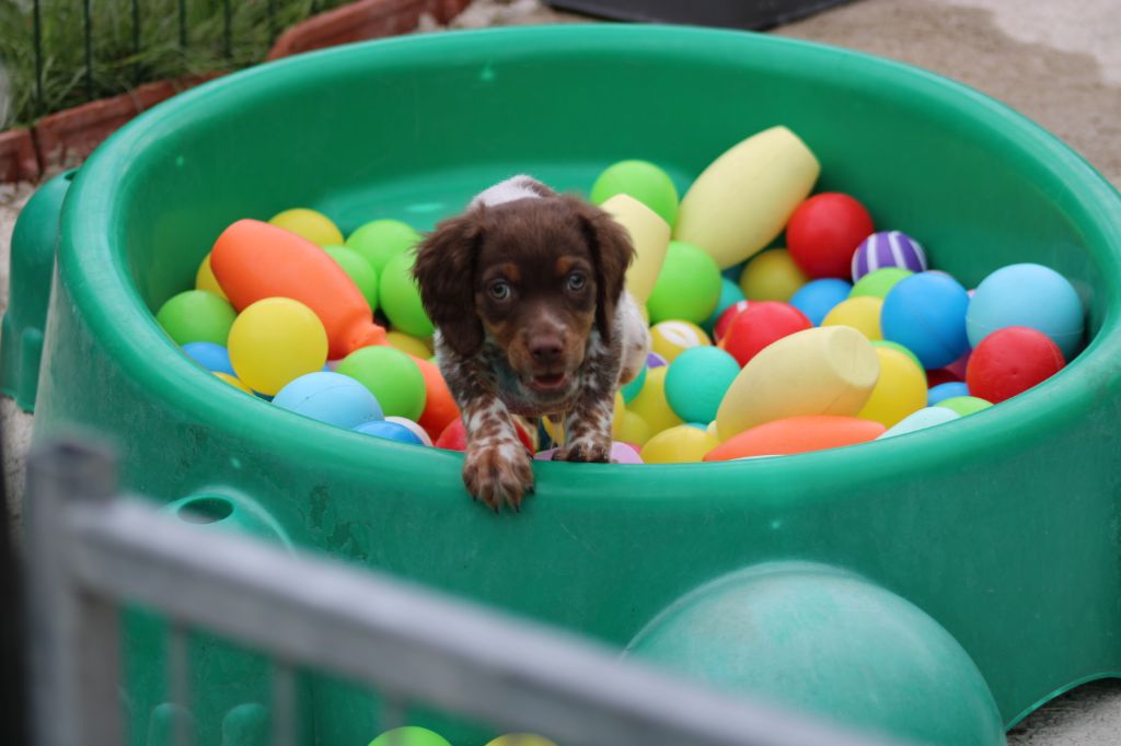 Toto De La Vallée De La Py