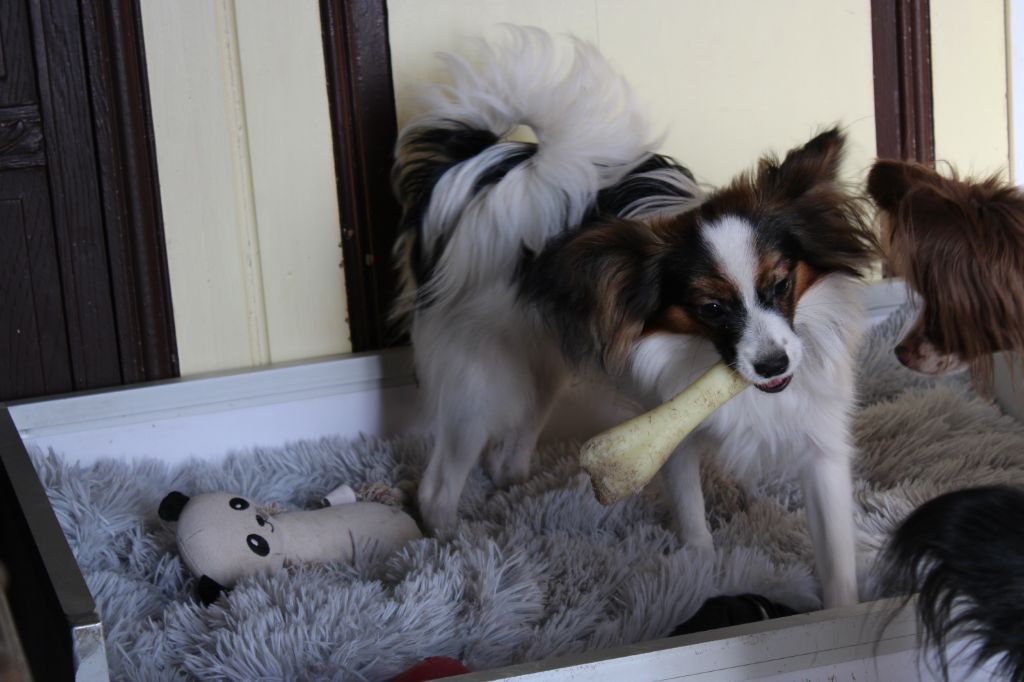 Ricky De La Vallée De La Py