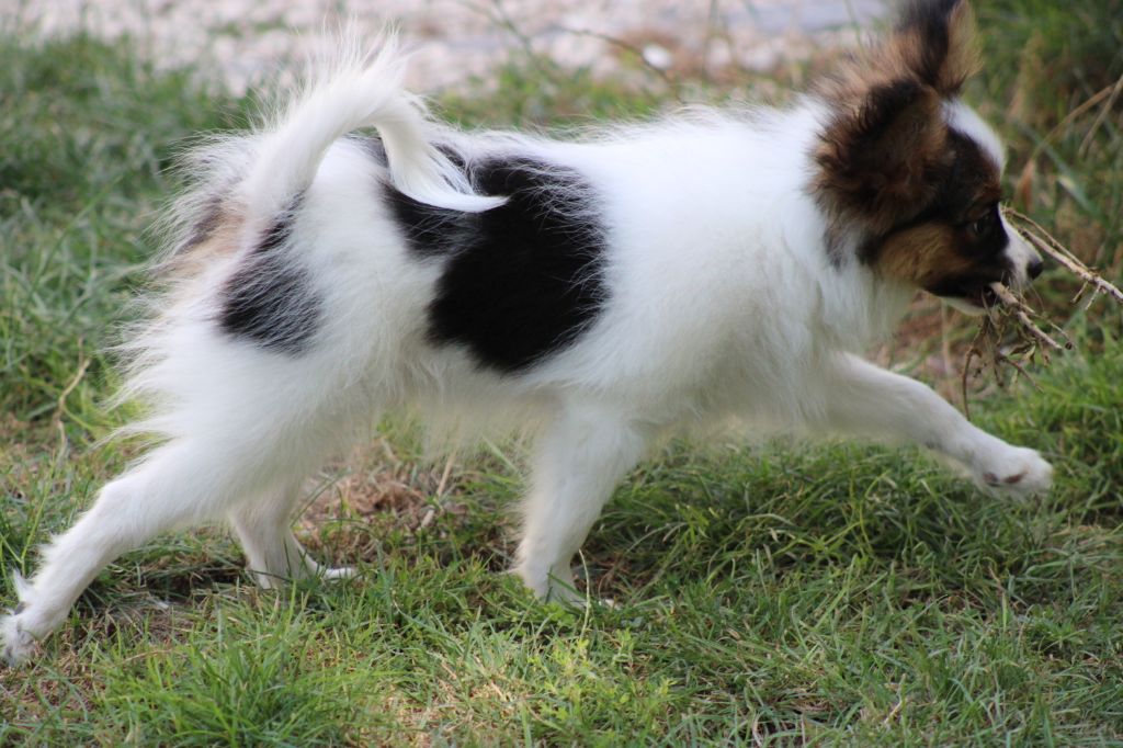 Ricky De La Vallée De La Py