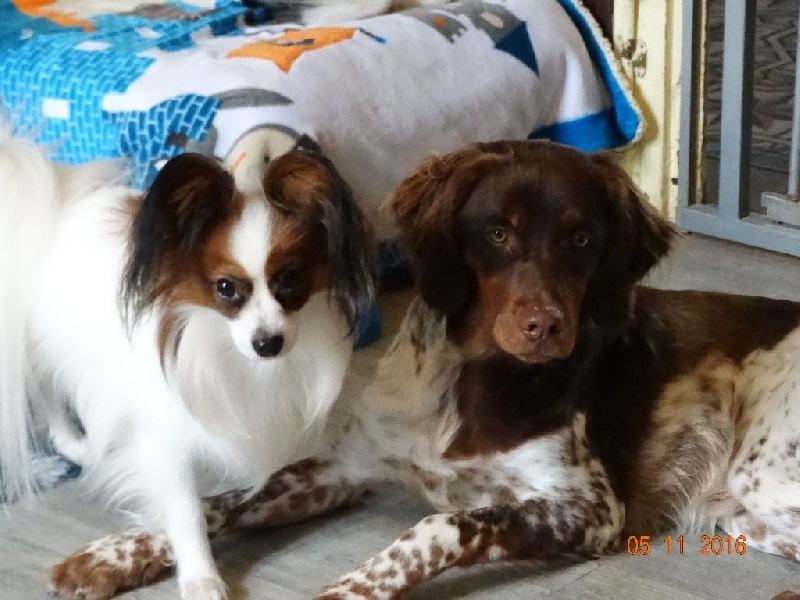 Jepp De La Vallée De La Py