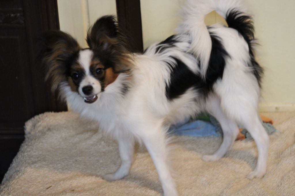 Ricky De La Vallée De La Py