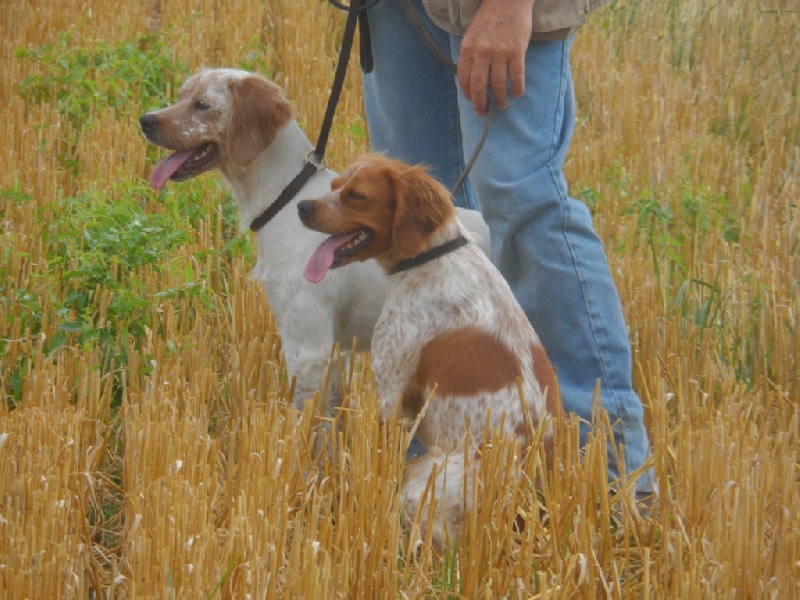 Hulma De La Vallée De La Py