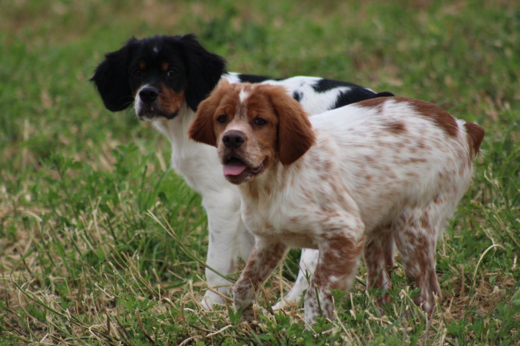 Artus De La Vallée De La Py