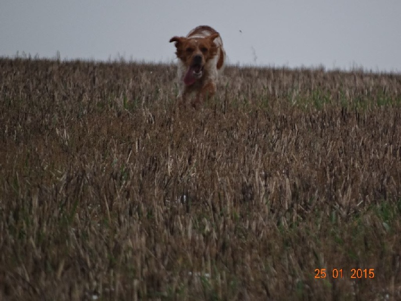 Hulma De La Vallée De La Py