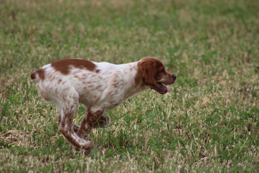 Artus De La Vallée De La Py